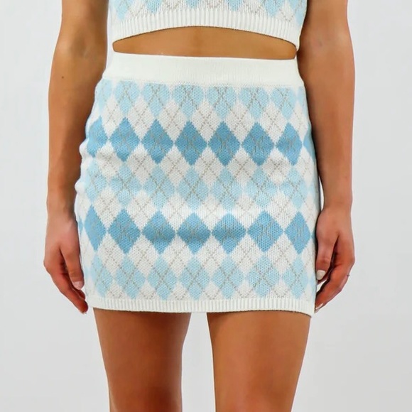 Rock n Rags Knit Mini Skirt - Picture 3 of 14